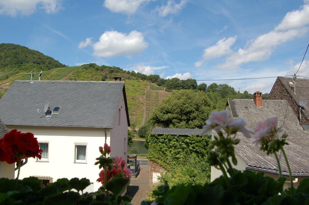 Ferienhaus Mosel Bub Bruttig-Fankel Værelse billede