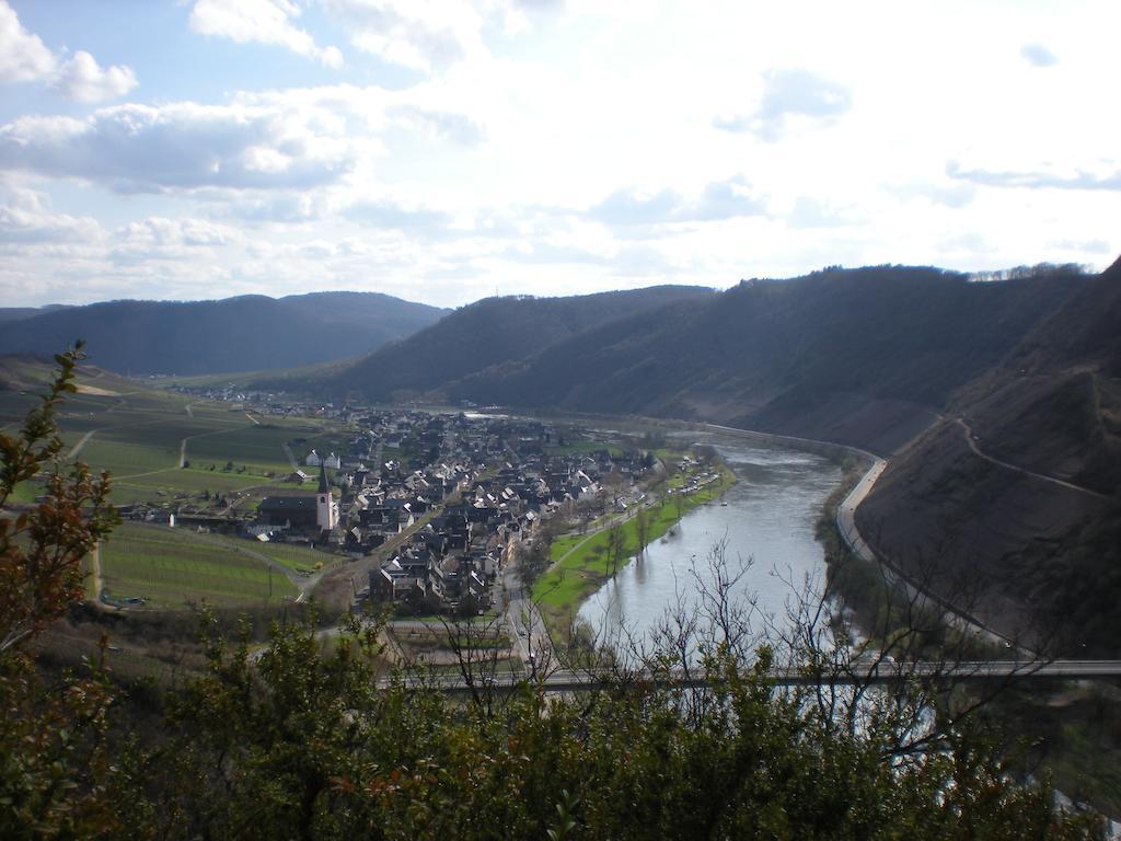 Ferienhaus Mosel Bub Bruttig-Fankel Værelse billede