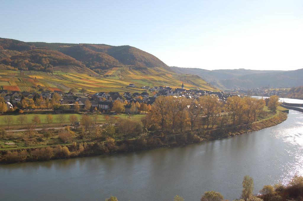 Ferienhaus Mosel Bub Bruttig-Fankel Værelse billede